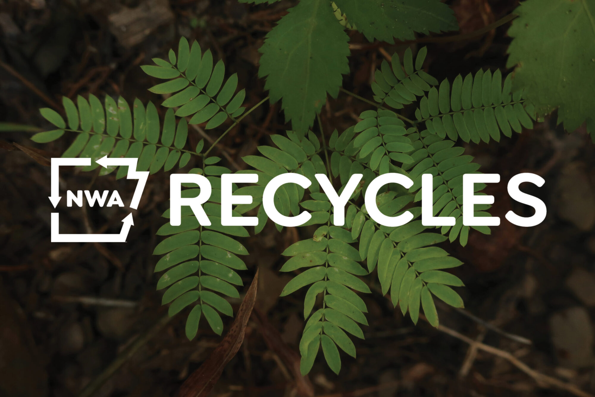 New Online Hub Navigates Northwest Arkansas Recycling