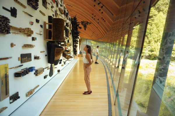 CrystalBridgesInterior_2 CrystalBridgesInterior_2